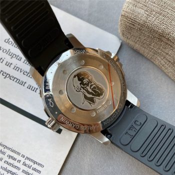 Swiss Replica IWC | IC40
